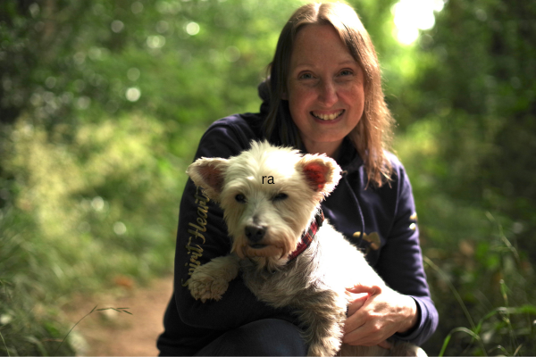 Transition Blog Transition Blog