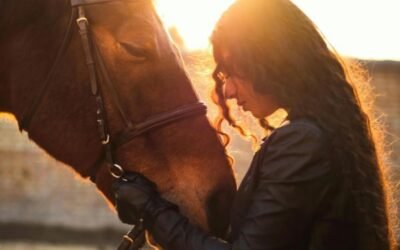 Communicating With Different Animal Soul Groups: Understanding Your Animal