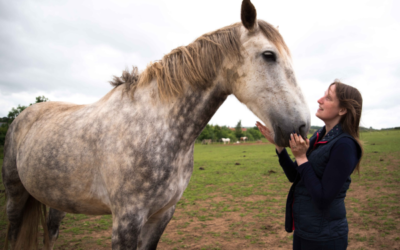 How to Communicate With Your Own Animals (A Simple Guide for Everyday Guardians