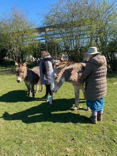 Animal Healing & Communication Practice Session
