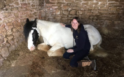 My Journey to Becoming an Animal Healer and Communicator
