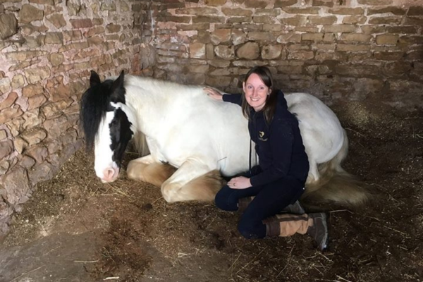 My Journey to Becoming an Animal Healer and Communicator